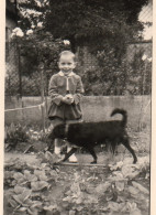 Photographie Photo Vintage Snapshot Enfant Child Chien Dog  - Other & Unclassified