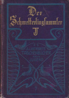 Der Schmetterlingsammler. - Libros Antiguos Y De Colección