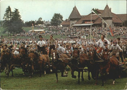 11710006 Saignelegier Marche Concours National De Chevaux Saignelegier - Otros & Sin Clasificación