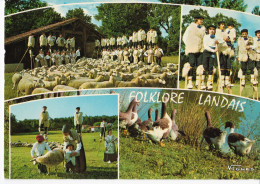 Folklore Landais Avec Le Groupe Lous Pastous Seignossais - Andere & Zonder Classificatie