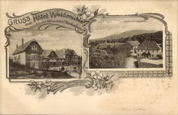 CPA Michaelstein Blankenburg Am Harz, Kloster Michaelstein, Hotel Waldmühle - Sonstige & Ohne Zuordnung