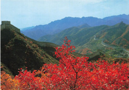 CHINE - Beijing - Autumn On The Badaling Section Of The Great Wall In Beijing - Carte Postale - China