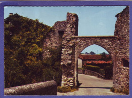 01 - PEROUGES - PORTE Des REMPARTS - VESTGES De BARBACANE -  - Pérouges