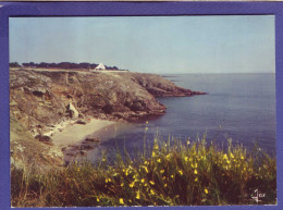 56 - SAINT GILDAS De RHUYS - PLAGE MONSEIGNEUR -  - Sonstige & Ohne Zuordnung