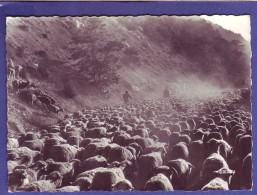 05 - BRIANCON - TRANSHUMANCE -  - Briancon