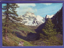 05 - LE MONT VISO - LE GUIL -  - Sonstige & Ohne Zuordnung