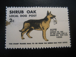 SHRUB OAK New York Alfie Local Dog Post Dogs Poster Stamp Vignette USA Label Slight Faults - Cani
