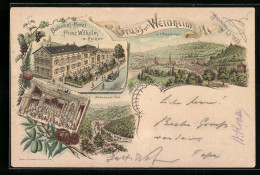 Lithographie Weinheim / Bergstrasse, Bahnhof-Hotel Prinz Wilhelm, Ortsansicht  - Weinheim