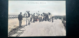 83 , Les Salines D'Hyères , La Récolte Du Sel.........beau Plan - Hyeres