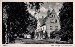 CPA Husum Nordfriesland, Haus Cornils Im Schloßgrund - Autres & Non Classés