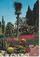 Le Jardin Exotique De Monaco - Giardino Esotico