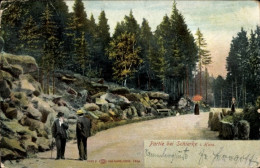 CPA Schierke Wernigerode Im Harz, Spaziergänger, Wald - Other & Unclassified