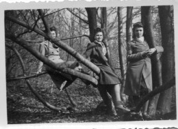 Photo Vintage Paris Snap Shop - Elancourt Femme Arbre Tree Perché - Lieux