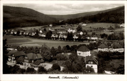 CPA Bad Herrenalb Im Schwarzwald, Panorama - Other & Unclassified