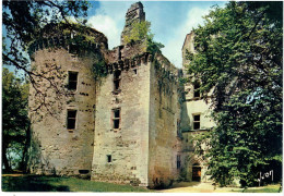 CPM FRANCE 24 DORDOGNE ROUFFIGNAC-SAINT-CERNIN-DE-REILHAC - Vue D'ensemble Du Château De L'Herm - Sonstige & Ohne Zuordnung