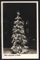 AK Bretten, Weihnachtsbaum Auf Dem Marktplatz  - Bretten