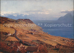 11695616 Lavaux VD Panorama  - Autres & Non Classés