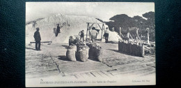 83 , Hyères . Les Salins De Pesquiers.......beau Plan - Hyeres