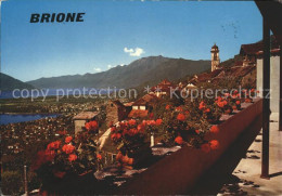 11694577 Brione Vista Su Locarno E Lago Maggiore Brione (Verzasca) - Other & Unclassified
