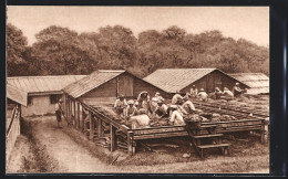 AK Arbeiter Sortieren Die Kakao-Bohnen  - Landbouw