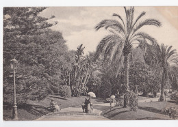 Monaco - Jardins Du Casino - Casino