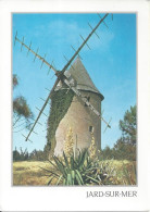 CPM France   Pays De Loire 85 Vendée  Jard Sur Mer Le Moulin - Windmills