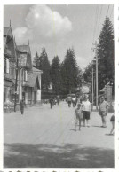 Anonymous Persons Souvenir Photo Social History Format Ca. 6 X 9 Cm Resort Street View - Anonymous Persons