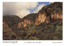 972-LE TOMBEAU DES CARAIBES-N°4210-A/0123 - Other & Unclassified