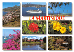 972-LA MARTINIQUE-N°4210-A/0127 - Other & Unclassified