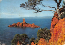 83-ESTEREL-N°4210-D/0387 - Saint-Raphaël