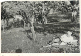 Anonymous Persons Souvenir Photo Social History Format Ca. 6 X 9 Cm Man Sunbathing - Anonymous Persons