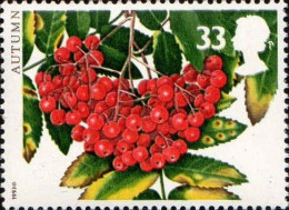 GB Poste N** Yv:1695 Mi:1466 Autumn Groseilles - Unused Stamps