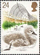 GB Poste N** Yv:1646 Mi:1427 Cigogneau - Unused Stamps
