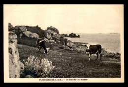 22 - PLOUGRESCANT - DE PORS-HIR AU ROUDOUR - VACHES - Plougrescant