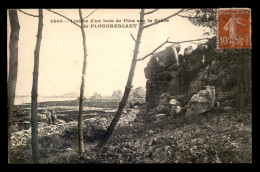 22 - PLOUGRESCANT - LISIERE D'UN BOIS DE PINS SUR LA GREVE - Plougrescant