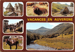 15-AUVERGNE-N°4211-D/0101 - Other & Unclassified