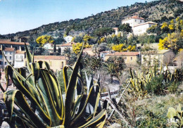 83 - Var - BORMES Les MIMOSAS - Le Grand Hotel - Bormes-les-Mimosas