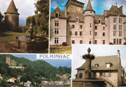 15 - Cantal -  POLMINHAC - Multivues - Other & Unclassified