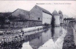 77 - Seine Et Marne - BEAUMONT  Du GATINAIS - Vieilles Tours Et Le Chateau - Autres & Non Classés