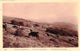 68 - Haut Rhin - Vallée De WESSERLING - Au Col De Herrenberg - Troupeau Au Hus - Vaches Au Paturage - Otros & Sin Clasificación