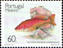 Madère Poste N** Yv:137 Mi:130 Peixe Cao Pseudolepidaplois Scrofa Valenciennes - Madeira