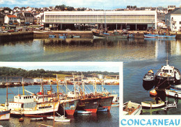 29-CONCARNEAU-N°4212-B/0361 - Concarneau
