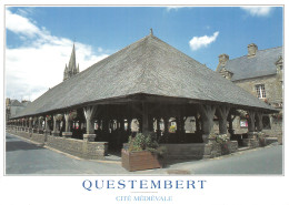56-QUESTEMBERT-N°4212-B/0263 - Questembert