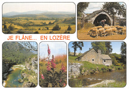 48-LOZERE-N°4212-A/0231 - Autres & Non Classés