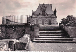 41 - Loir Et Cher  - SAINT AIGNAN Sur CHER - L Escalier Monumental Conduisant Au Chateau - Saint Aignan