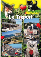 76 - Seine Maritime - LE TREPORT -  Multivues Et Les Petits Chats - Other & Unclassified