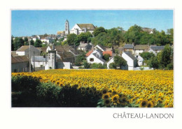 77 -  CHATEAU LANDON - Saint Sevrin - Chateau Landon