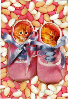 CHAT -  Chatons Dans Petits Chaussons Roses- Format 17 Cm X 11 Cm - Chats