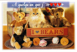 CHAT -  Le Chat Et Ses Nounours - Format 18 Cm X 12 Cm - Chats