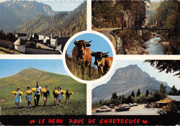 38-LA CHARTREUSE-N°4213-C/0253 - Other & Unclassified